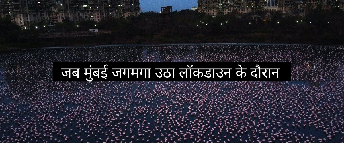 Mumbai 'Lights Up' During Lockdown - जब मुंबई जगमगा उठा लॉकडाउन के दौरान